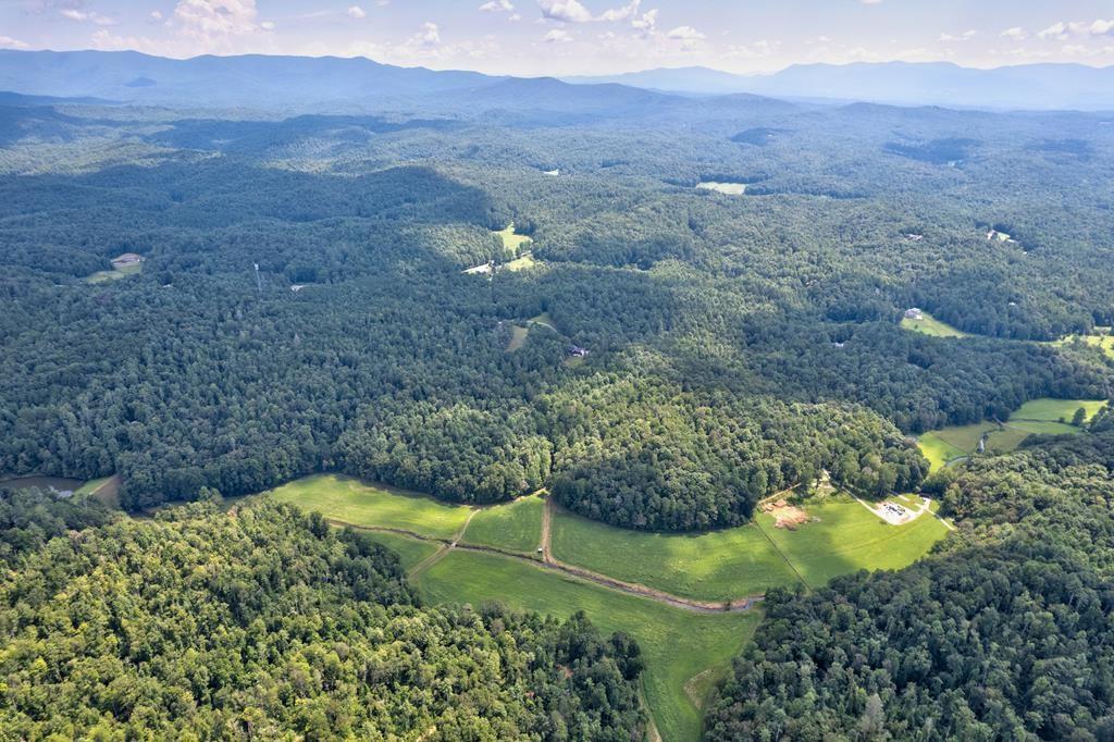 312 Charles Road Ellijay, GA 30540 - Photo 50 of 59