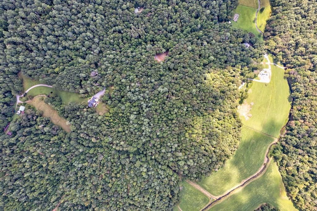 312 Charles Road Ellijay, GA 30540 - Photo 57 of 59