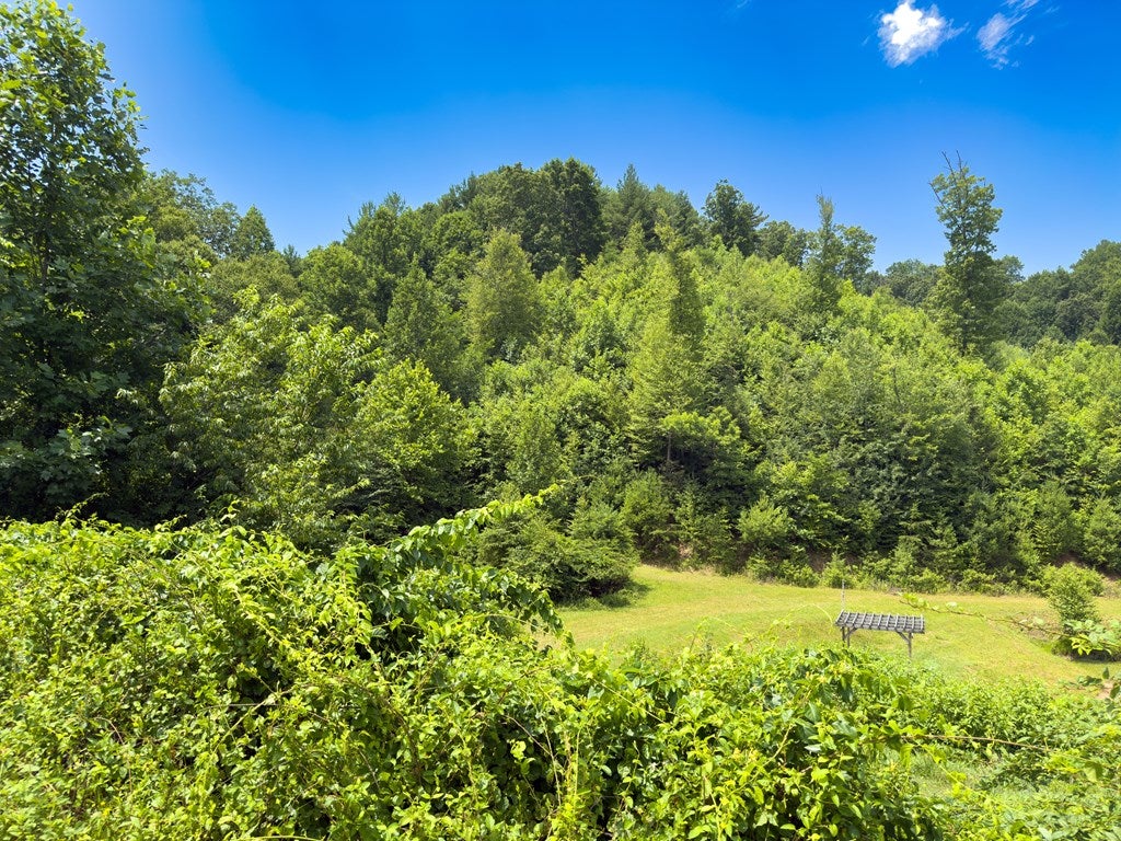 Tbd Tbd Little Vine Road Hillsville, VA 24343 - Photo 16 of 43 Gallery Image 16