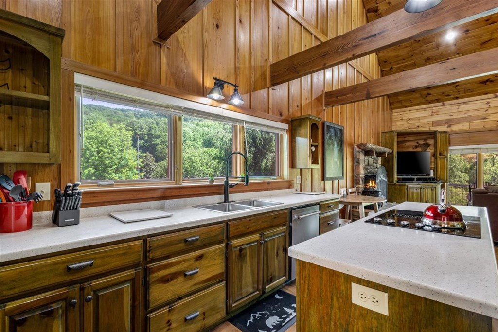 166 Richard Road Blairsville, GA 30512 - Photo 25 of 75