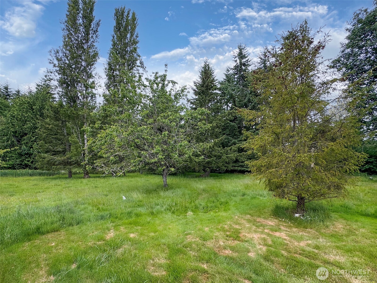 34 Lewallen Road Port Angeles, WA 98363 - Photo 34 of 40