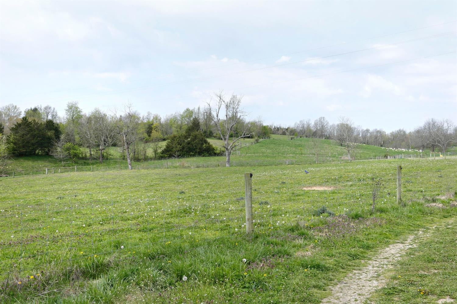 2471 Kirkwood Road Salvisa, KY 40372 - Photo 39 of 50 Photo 39