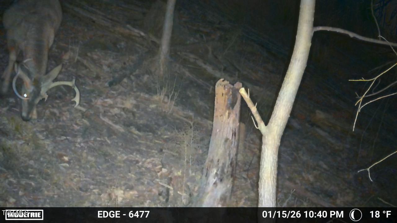 Tbd Johnson Hollow Road Bristol, TN 37620 - Photo 17 of 17 Temp_2857816-20260116034108-100MFCAM_MFD
