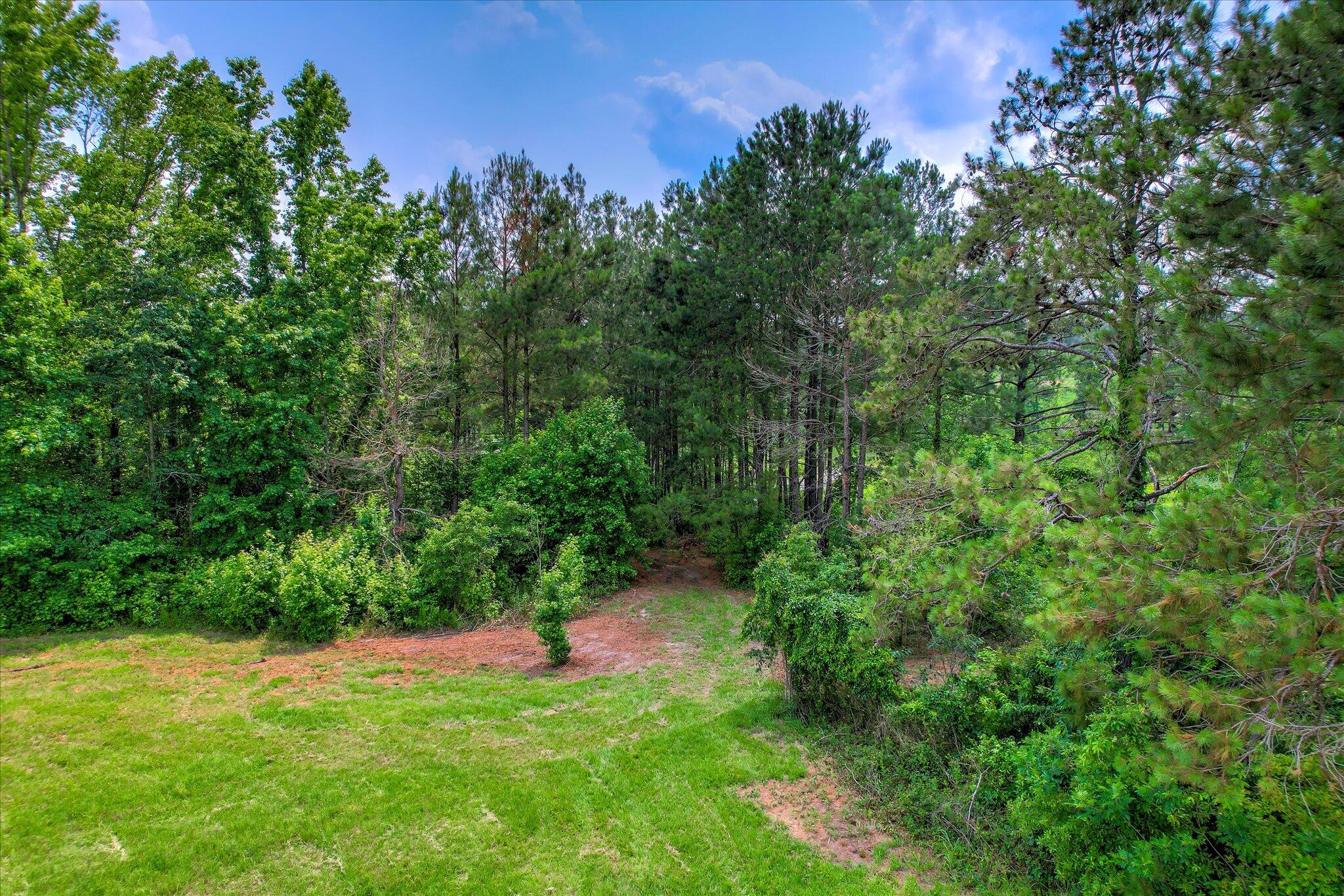 Lot 16 Reeves Street Aiken, SC 29805 - Photo 12 of 15