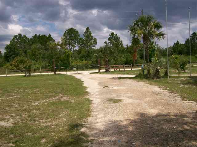 19595 Jody Morgan Road Perry, FL 32348 - Photo 12 of 20 Gallery Image 12