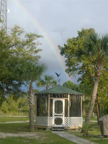19595 Jody Morgan Road Perry, FL 32348 - Photo 20 of 20 Gallery Image 20