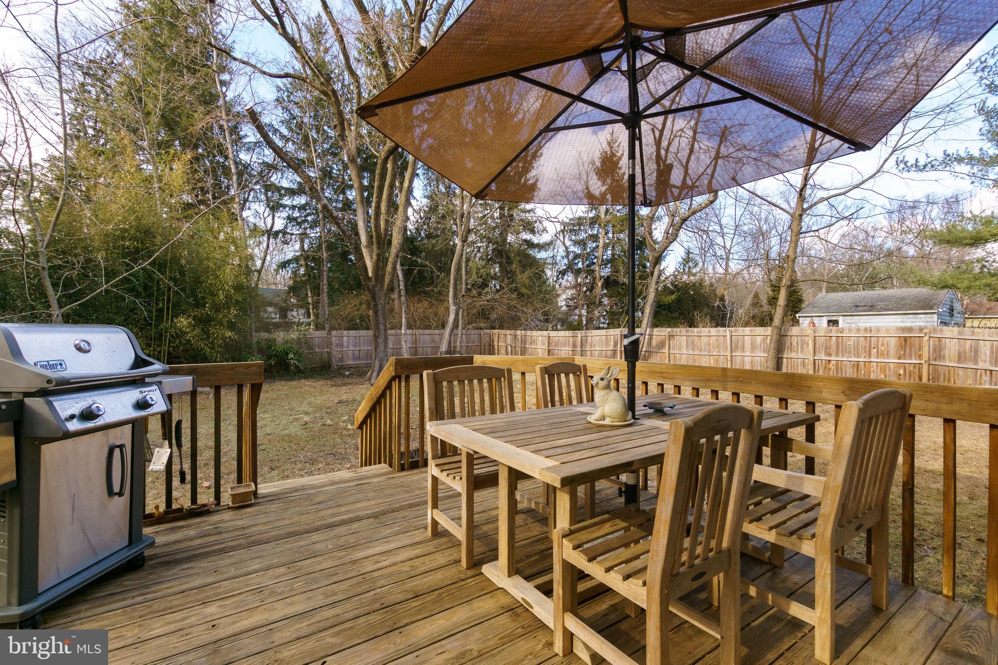 232 Mt Lucas Road Princeton, NJ 08540 - Photo 29 of 32 Newly Power Washed Deck
