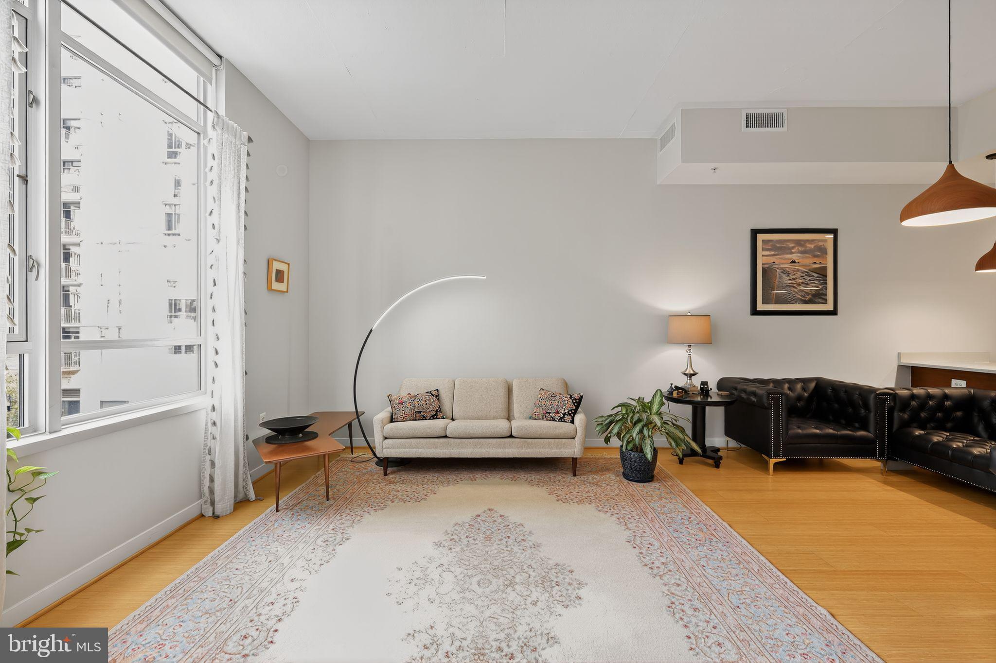 12025 New Dominion Parkway, Unit 311 Reston, VA 20190 - Photo 7 of 29 a living room with furniture and a potted plant