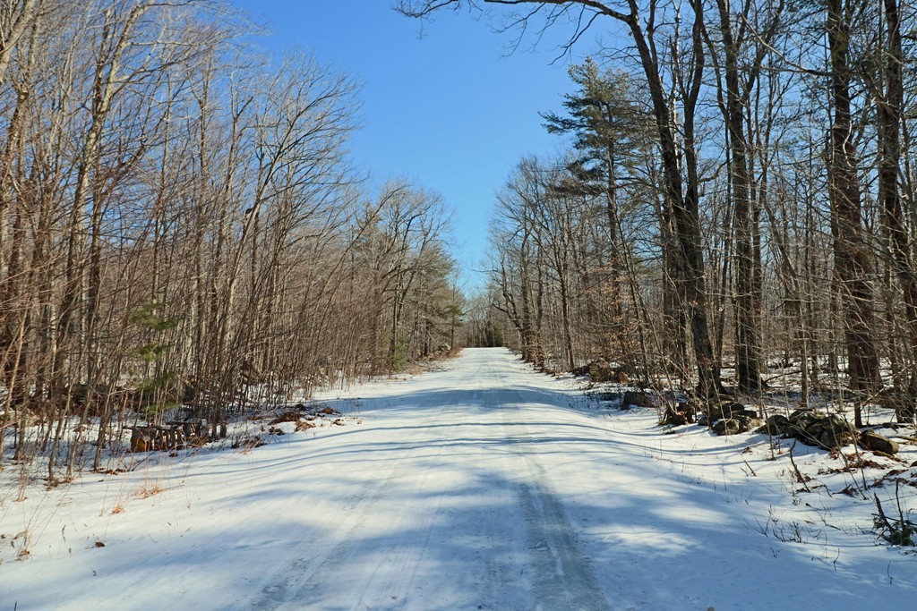 Lot 2 Bonny Rigg Hill Road Becket, MA 01223 - Photo 7 of 8 Gallery Image 7