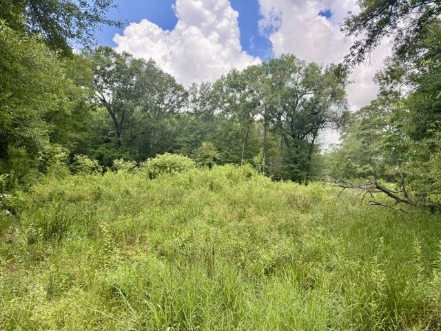 1000 Butler Road Vidor, TX 77662 - Photo 1 of 5