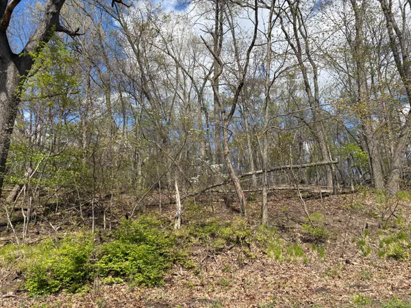 $124,410 | V/l Anderson Road, Cassopolis, MI 49031