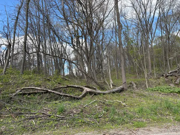 $124,410 | V/l Anderson Road, Cassopolis, MI 49031