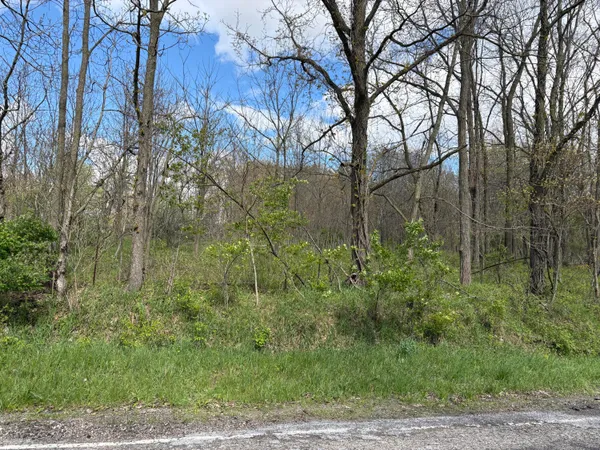 $124,410 | V/l Anderson Road, Cassopolis, MI 49031