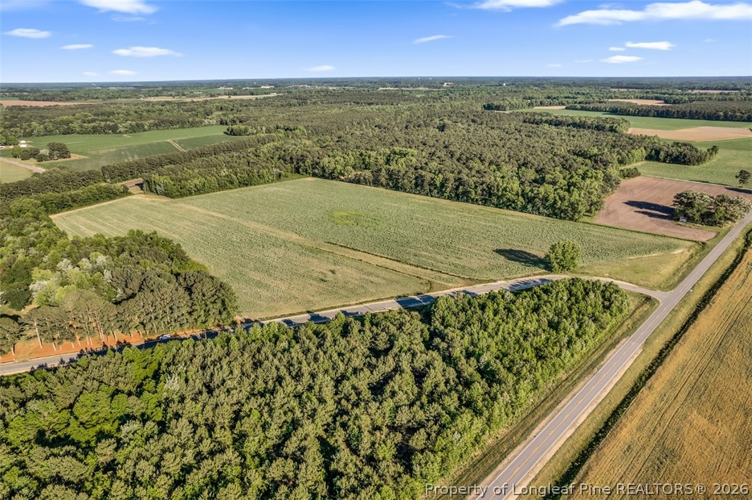 0 Pope Wray (lot 2) Road Turkey, NC 28393 - Photo 22 of 22 a view of a city