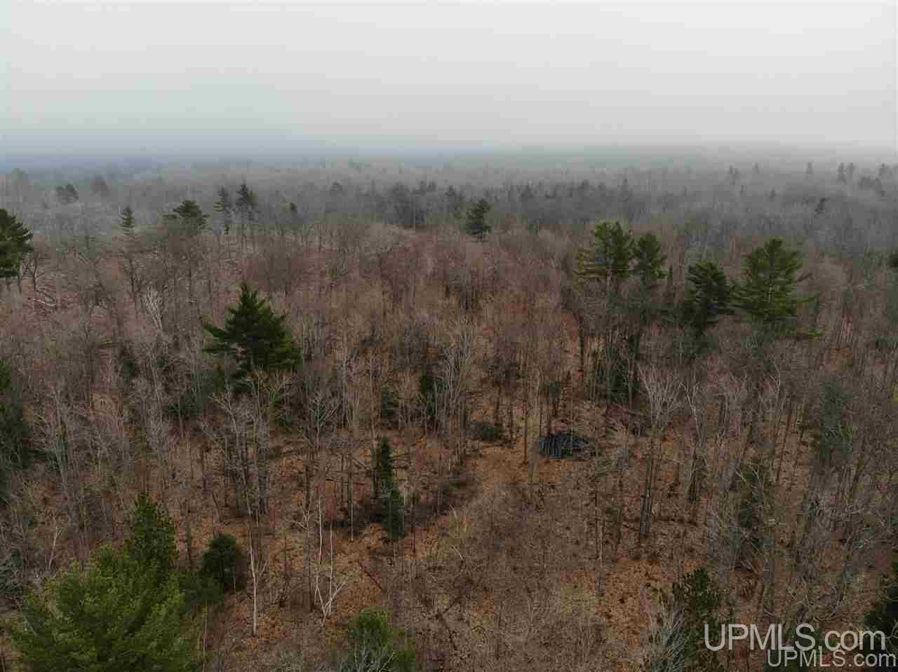 Tbd Plains Cutoff Road Baraga, MI 49908 - Photo 29 of 49