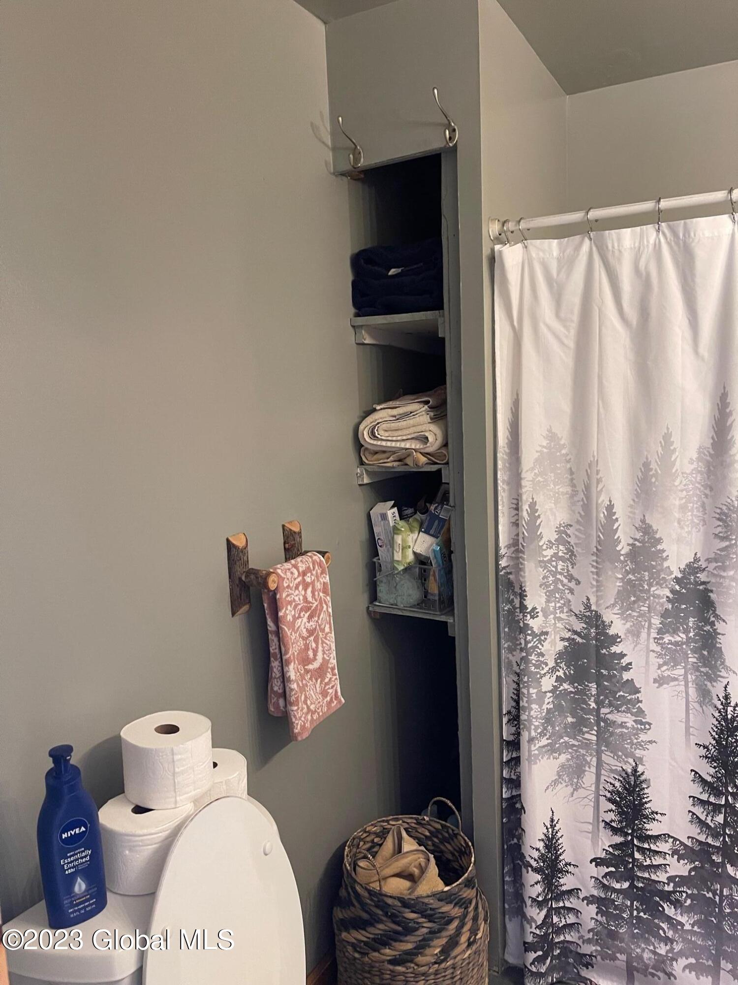 46 North Shore Road Edinburg, NY 12134 - Photo 11 of 37 IMG_2165