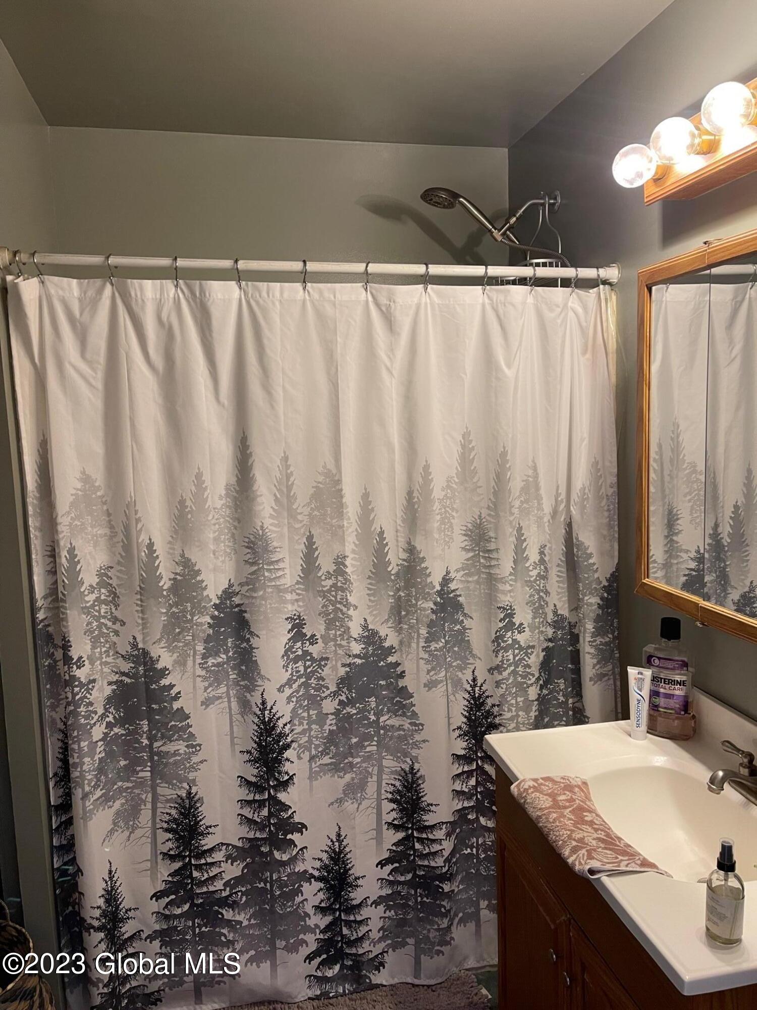 46 North Shore Road Edinburg, NY 12134 - Photo 10 of 37 IMG_2164 (1)