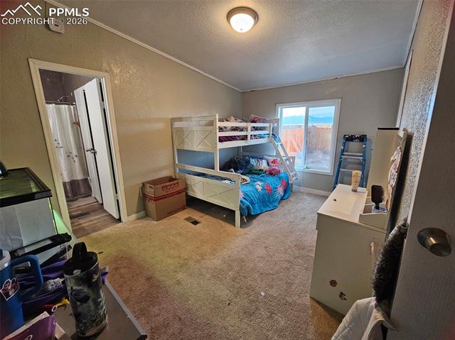 5633 Antelope Road Fountain, CO 80817 - Photo 23 of 26 Gallery Image 23