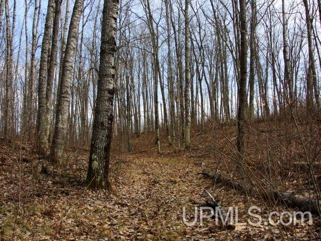 N18565 Horseshoe Road Pembine, WI 54156 - Photo 13 of 17 Gallery Image 13