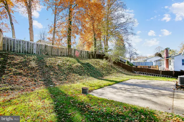 a view of a yard with plants and a tree