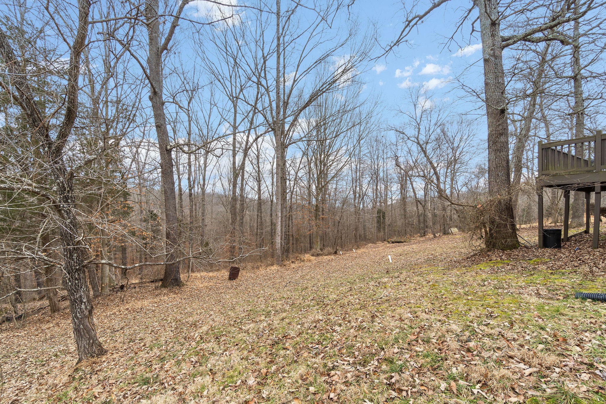 3260 Backridge Road Woodlawn, TN 37191 - Photo 18 of 21 Gallery Image 18