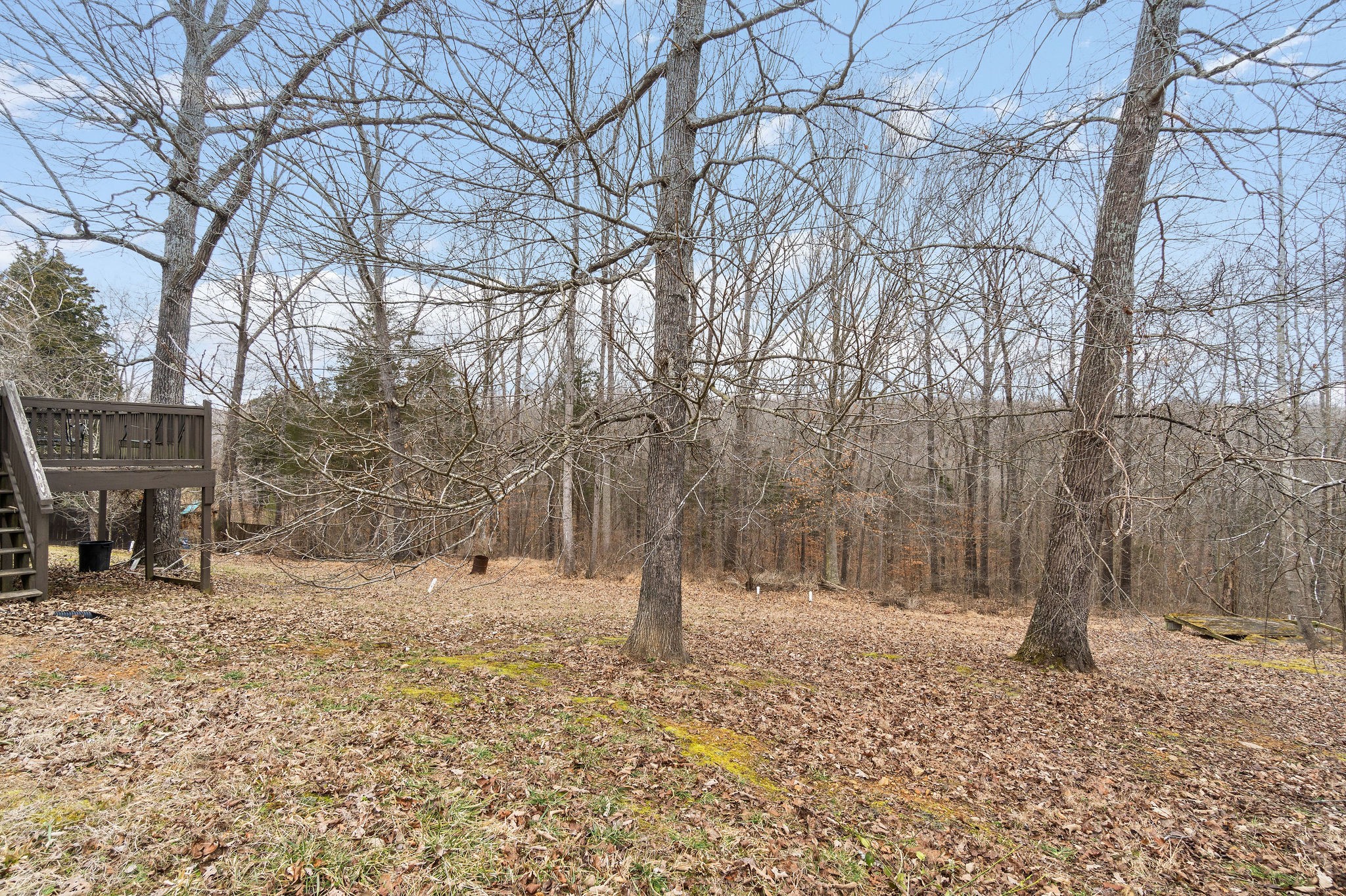 3260 Backridge Road Woodlawn, TN 37191 - Photo 20 of 21 Gallery Image 20
