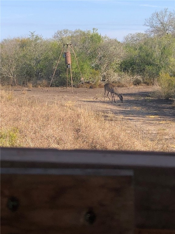 2979 Bravo Road 2 Freer, TX 78357 - Photo 19 of 25 a view of a yard with mountain view