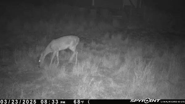 a picture of a room with a fan
