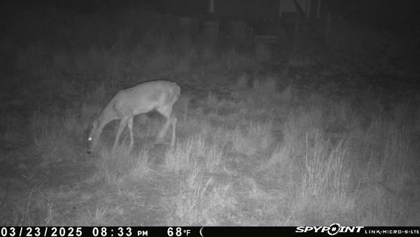 2979 Bravo Road 2 Freer, TX 78357 - Photo 20 of 25 a picture of a room with a fan