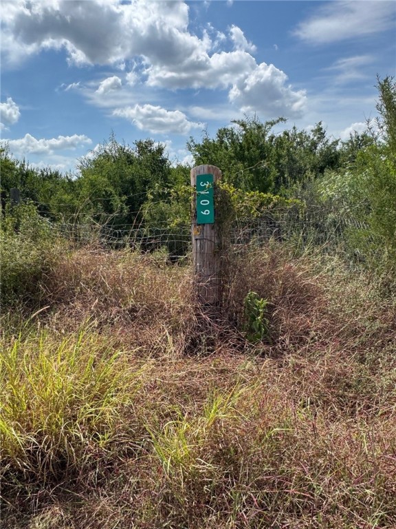 2979 Bravo Road 2 Freer, TX 78357 - Photo 2 of 25 a view of a yard with plants and a bench