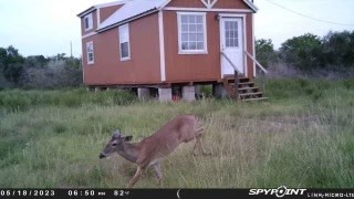 2979 Bravo Road 2 Freer, TX 78357 - Photo 22 of 25 a view of a house with a yard