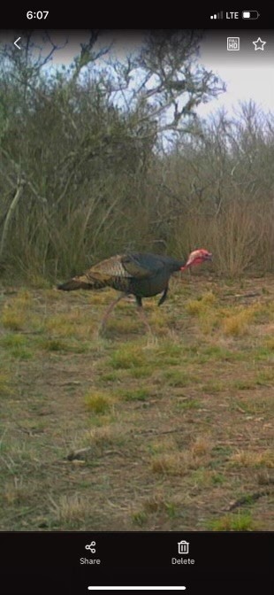 2979 Bravo Road 2 Freer, TX 78357 - Photo 23 of 25 a view of beach