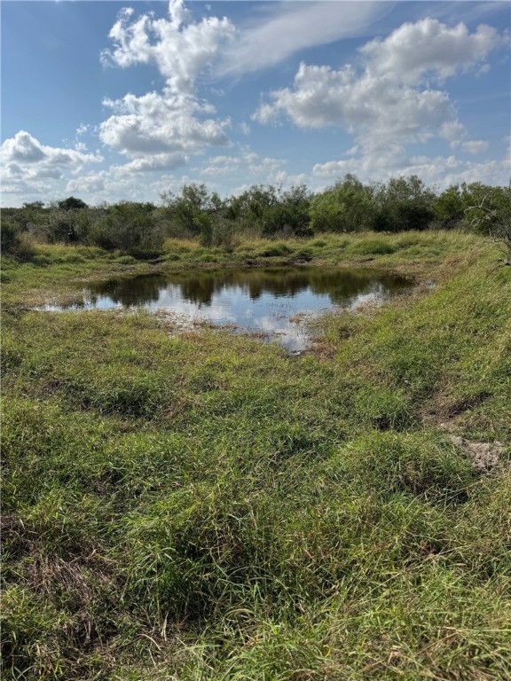 2979 Bravo Road 2 Freer, TX 78357 - Photo 5 of 25 a view of a lake with houses in the back