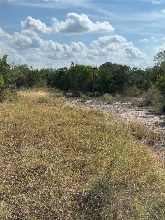 2979 Bravo Road 2 Freer, TX 78357 - Photo 7 of 25 a view of a lake with houses in back
