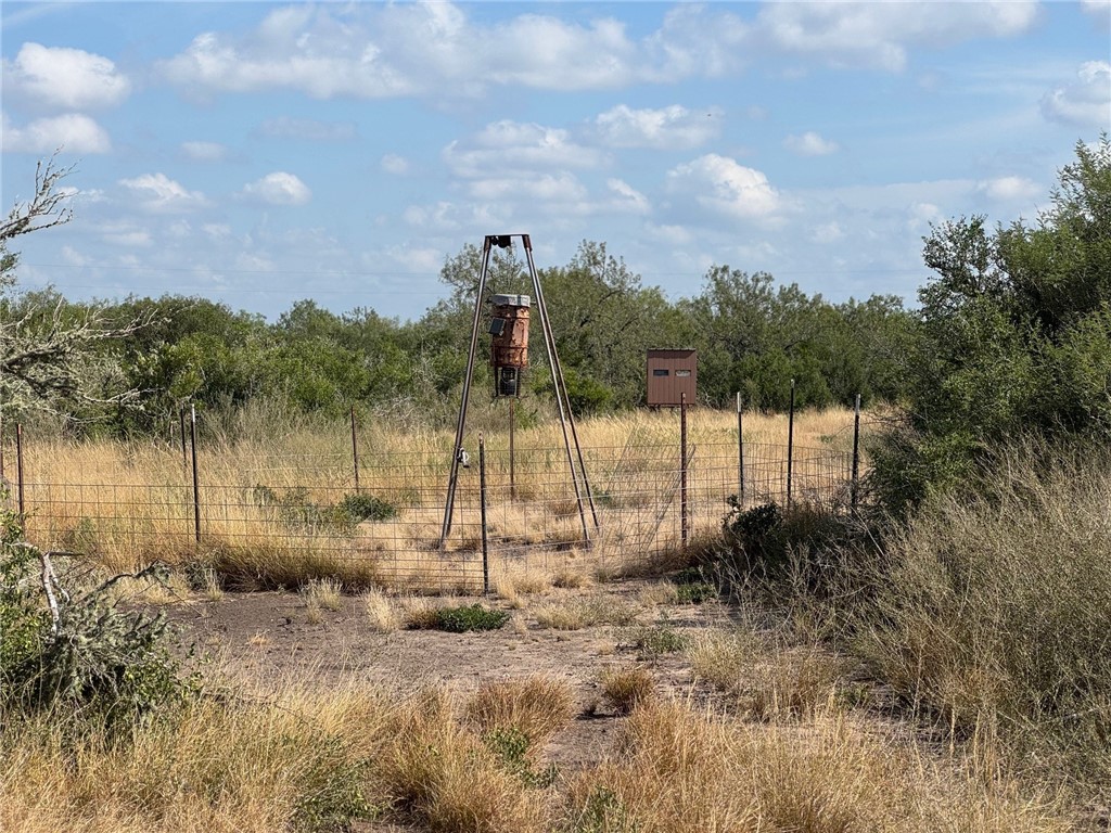 2979 Bravo Road 2 Freer, TX 78357 - Photo 8 of 25 a view of a park with large trees