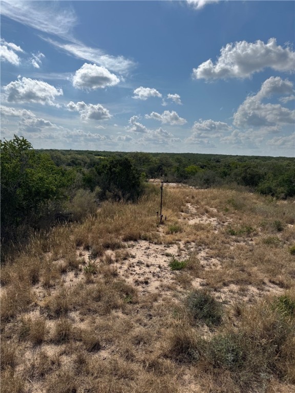 2979 Bravo Road 2 Freer, TX 78357 - Photo 10 of 25 a view of a backyard of a house