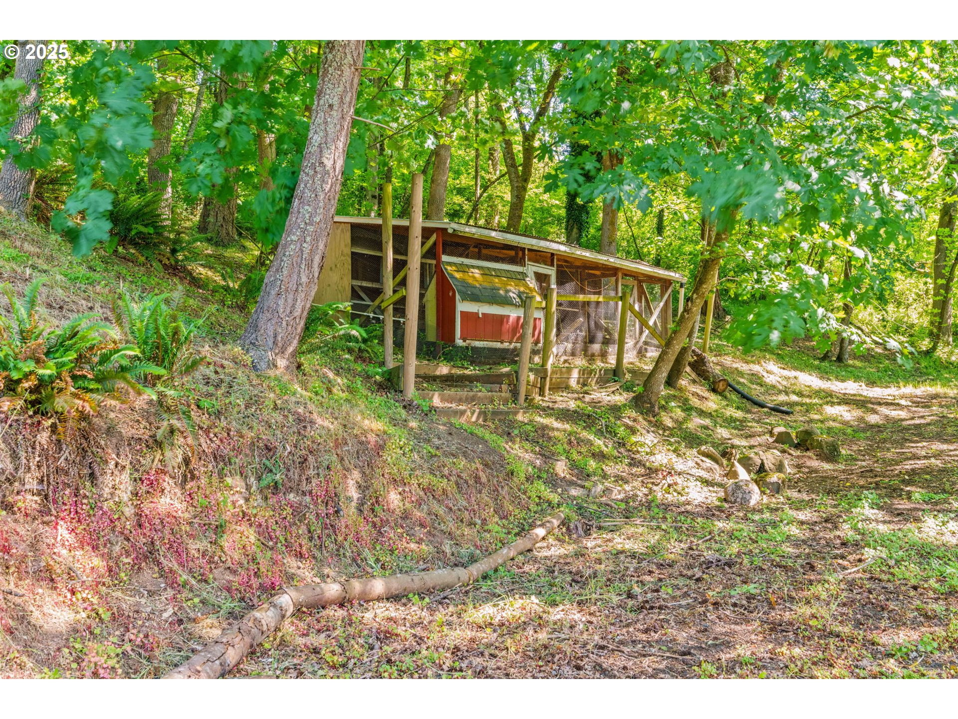 34637 Knox Butte Road East Albany, OR 97322 - Photo 30 of 47 a view of outdoor space with garden