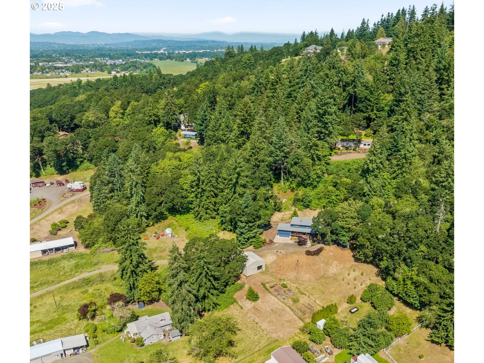 34637 Knox Butte Road East Albany, OR 97322 - Photo 36 of 47 a view of a yard with plants and a large tree