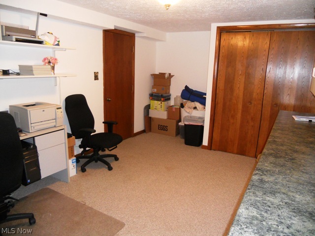 655 Bridge Road Akron, OH 44312 - Photo 22 of 25 Another view of the lower level bonus room with large closet space.
