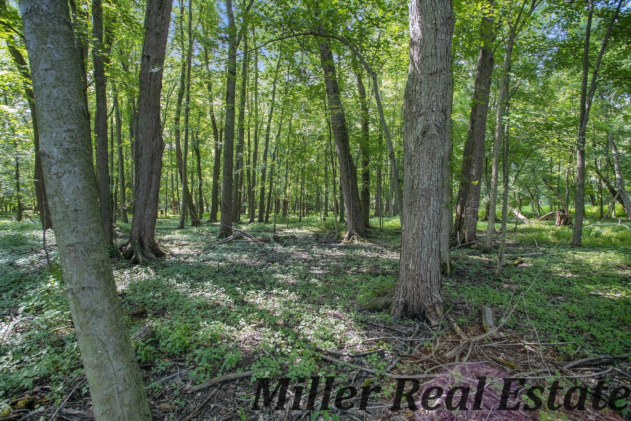 2146 Bayne Road Hastings, MI 49058 - Photo 12 of 18 014_dng-7