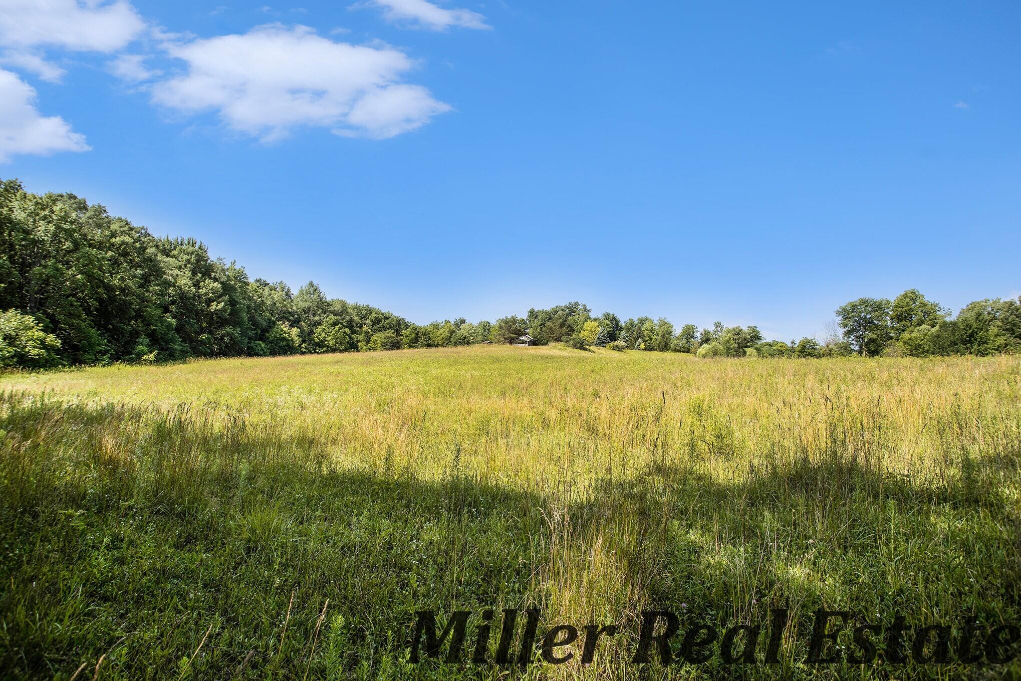 2146 Bayne Road Hastings, MI 49058 - Photo 5 of 18 011_dng-4
