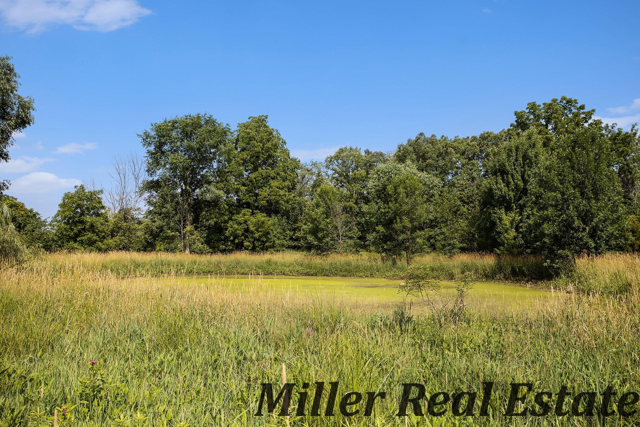 2146 Bayne Road Hastings, MI 49058 - Photo 8 of 18 015_dng-8