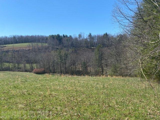 Windsor Road Northwest Willis, VA 24380 - Photo 2 of 8 Gallery Image 2