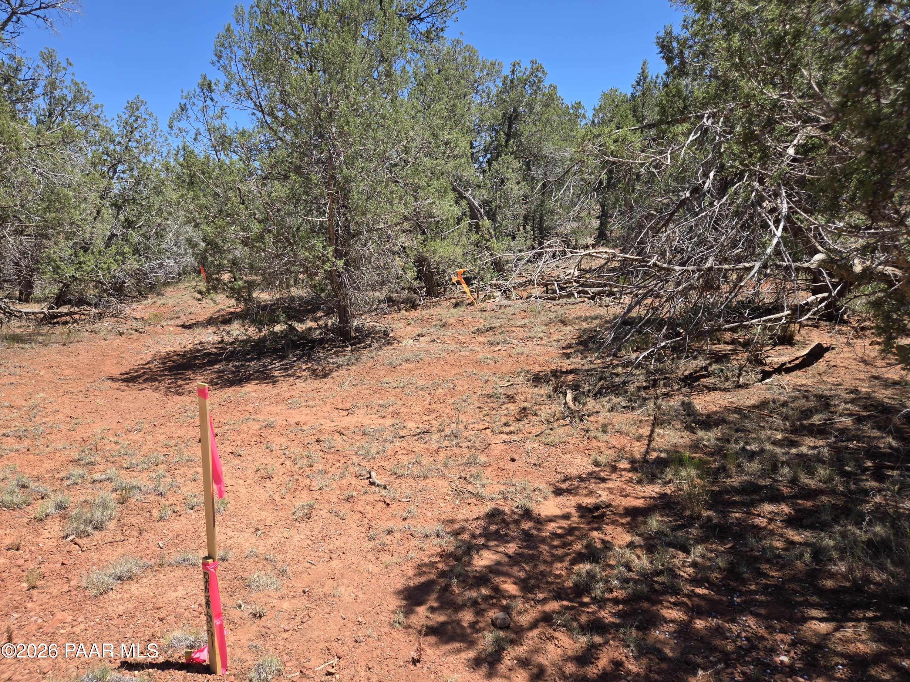 450 Arizona Road Ash Fork, AZ 86320 - Photo 14 of 16 20260629_135537
