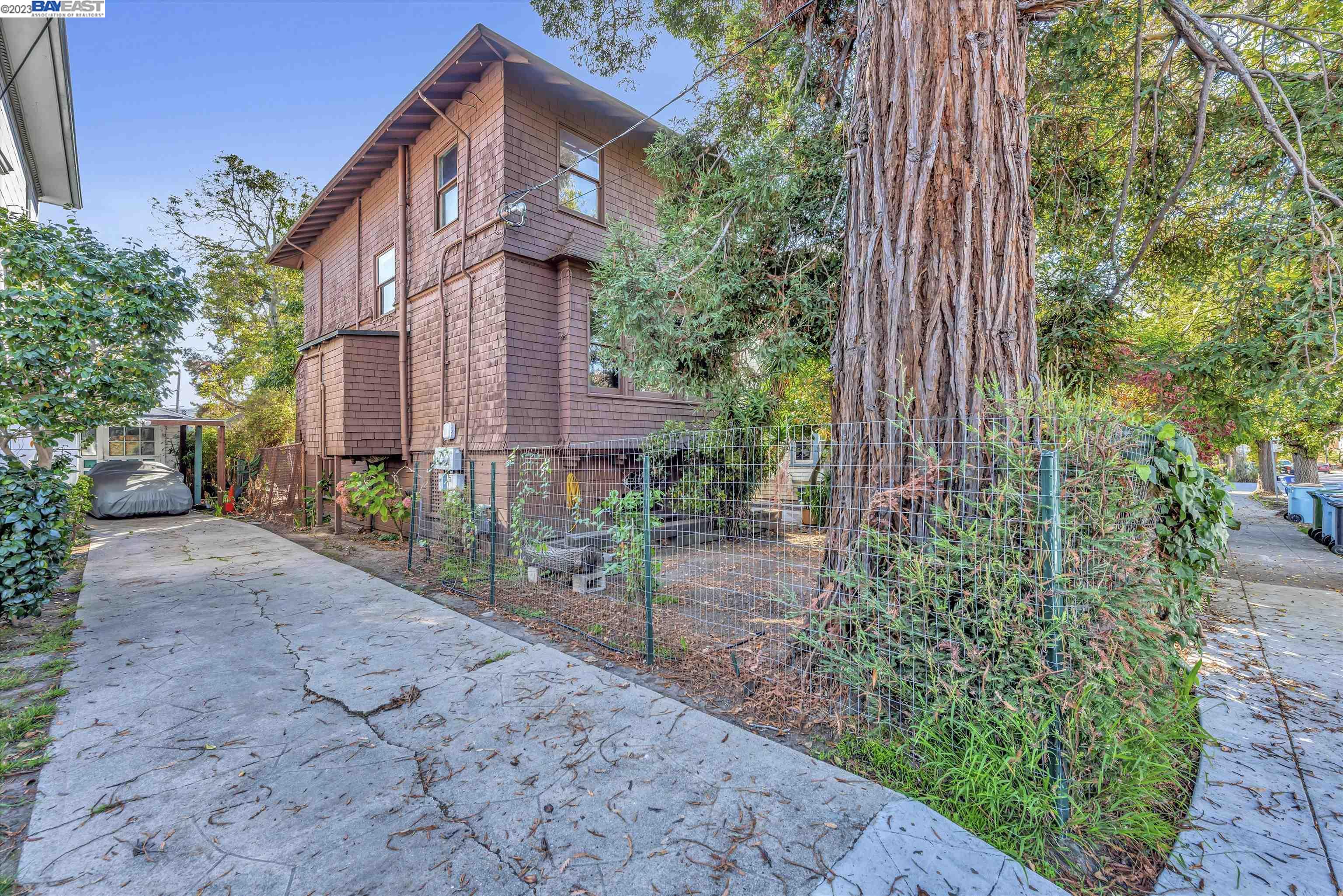 a view of a brick buildings potted plants and large tree