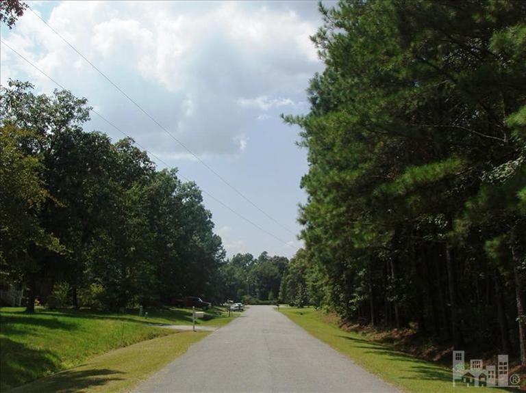 0 Spring Chase Lane Rocky Point, NC 28457 - Photo 2 of 6 Additional Photo