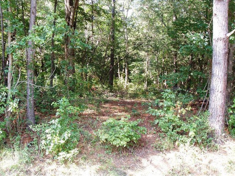 0 Spring Chase Lane Rocky Point, NC 28457 - Photo 3 of 6 Additional Photo