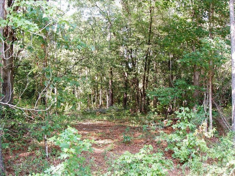 0 Spring Chase Lane Rocky Point, NC 28457 - Photo 4 of 6 Additional Photo