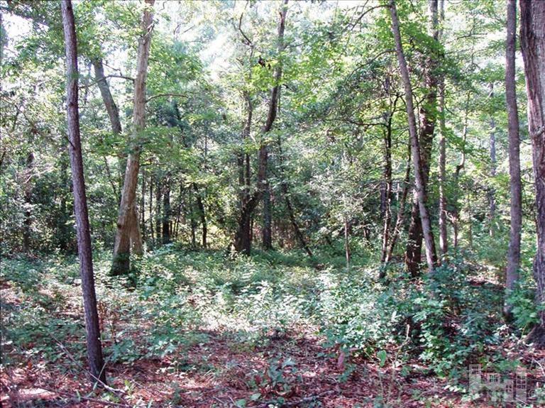 0 Spring Chase Lane Rocky Point, NC 28457 - Photo 5 of 6 Additional Photo