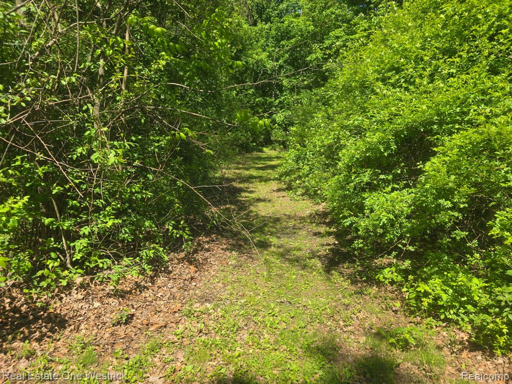 9236 North River Road Algonac, MI 48001 - Photo 27 of 31